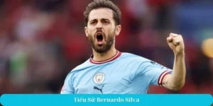 Tiểu sử Bernardo Silva